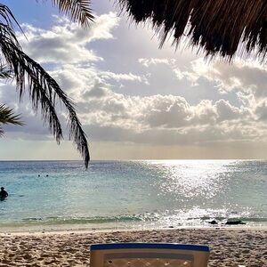 Meet your Posher, Tom